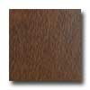 Congoleum Congoleum Endurance Plank 6 X 36 Cinammon Vinyl Flooring
