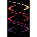 Foreign Accents Foreign Accents Festival Waves 4 X 6 Black Area Rugs
