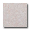 Earth Werks Earth Werks Venetian Stone 2201 Vinyl Flooring