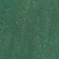 Forbo Forbo Marmoleum Dual Evergreen Vinyl Flooring