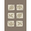 Carpet Art Deco Carpet Art Deco Soft 2 X 3 Passion / taupe-whisper Area Rugs