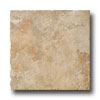 Monocibec Ceramica Monocibec Ceramica Graal 6 X 6 Arras Tile  &  Stone