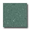 Mannington Mannington Brushwork Hunter Green Vinyl Flooring