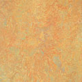 Forbo Forbo Marmoleum Vivace Sunny Day Vinyl Flooring