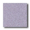 Mannington Mannington Biospec Wood Violet Vinyl Flooring