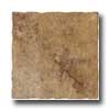 Marazzi Marazzi Tiber 12 X 12 Brown Tile  &  Stone