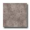 Armstrong Armstrong Perspectives Sheet Smoked Gray Vinyl Flooring