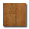 Mannington Mannington Hamilton Cherry Saffron Hardwood Flooring