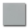Daltile Daltile Keystones Permabrites Mosaic 2 X 2 Desert Gray Tile  &  St