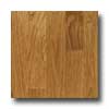 Harris-Tarkett Harris-tarkett Bridgewood Strip Oak Wheat Hardwood Flooring