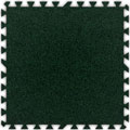 Alessco, Inc. Alessco, Inc. Soft Carpets Emerald Green Inside Rubber