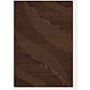 Couristan Couristan Anthians 2 X 8 Runner Chocolate Area Rugs
