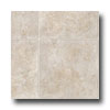 Tarkett Tarkett Preference Plus Nt - Quadra 6 Bradstreet Gray Vinyl Floo