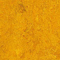 Forbo Forbo Marmoleum Real 1 / 10 Golden Sunset Vinyl Flooring