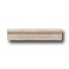 Questech Questech Dorset Decoratives - Travertine Cameo Ogee Tile  &  Stone