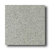 Mannington Mannington Biospec Steel Blue Vinyl Flooring