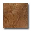 Tilecrest Tilecrest Mitca 20 X 20 Walnut Tile  &  Stone
