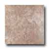 Tesoro Tesoro Forum 20 X 20 Noce Tile  &  Stone