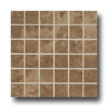 Mohawk Mohawk Pavin Stone Mosaic Brown Suede Tile  &  Stone