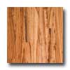 Somerset Somerset Exotic Collection Engineered 4 3 / 4 Tigerwood Hardwood F