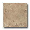 Emser Tile Emser Tile Emilia 12 X 12 Boiardo Tile  &  Stone