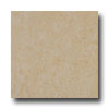 Emser Tile Emser Tile Roma 20 X 20 Beige Tile  &  Stone