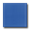 Emser Tile Emser Tile Lucente Azul Royale Tile  &  Stone