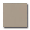 Daltile Daltile Matte 6 X 6 Matte Uptown Taupe Tile  &  Stone
