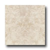 Emser Tile Emser Tile Caracas 13 X 13 Almond Tile  &  Stone