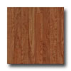 Congoleum Congoleum Bravada - Very Cherry Mocha Cherry Vinyl Flooring