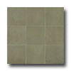 Casa Dolce Casa Casa Dolce Casa Clays 16 X 16 Caribbean Tile  &  Stone