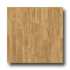 Tarkett Tarkett Preference Plus - Kenwood 12 Honey Vinyl Flooring