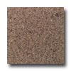 Daltile Daltile Granite 12 X 12 Giallo Antico Tile  &  Stone