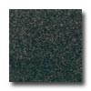 Daltile Daltile Granite 12 X 12 Impala Black Tile  &  Stone