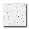 Armstrong Armstrong Excelon Companion Square Premium Mono White Vinyl Floo