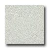 Armstrong Armstrong Medintech Tandem Inlaid Jasmine Vinyl Flooring