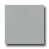 Daltile Daltile Keystones Permatones Mosaic 2 X 2 Desert Gray Tile  &  Sto