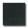 Daltile Daltile Granite 12 X 12 Galaxy Black Tile  &  Stone