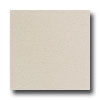 American Olean American Olean St Germain 12 X 24 Creme Tile  &  Stone