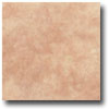 Mohawk Mohawk Medano Ii 6 X 6 Taupe Tile  &  Stone