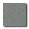 Crossville Crossville Cross-colors A 12 X 12 Polished Greenbriar Tile  &  Sto