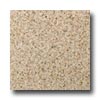 Daltile Daltile Granite 12 X 12 Golden Garnet Tile  &  Stone