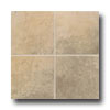 Mohawk Mohawk Artesia 8 X 12 Sienna Tile  &  Stone