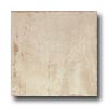 Pastorelli Pastorelli Sandstone 12 X 12 Bundanoon Tile  &  Stone