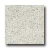 Daltile Daltile Granite 12 X 12 Kashmir White Tile  &  Stone