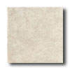 American Olean American Olean Avellino 6 X 6 Taupe Tile  &  Stone