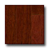 Mohawk Mohawk Manassas Merbau Natural Hardwood Flooring