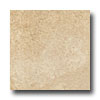 Ergon Tile Ergon Tile Green Tech 24 X 24 Rectified Sand Tile  &  Stone