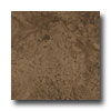 Ergon Tile Ergon Tile Green Tech 12 X 12 Rectified Brown Tile  &  Stone