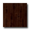 Hartco Hartco Sugar Creek Solid Maple Plank Cocoa Brown Hardwood Floori
